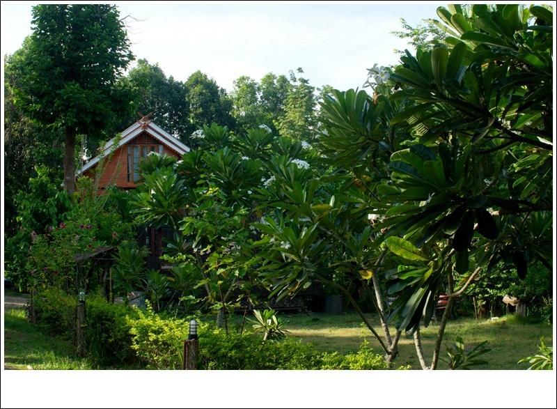 Phuphiangkhiangfah Resort Nan Kamer foto