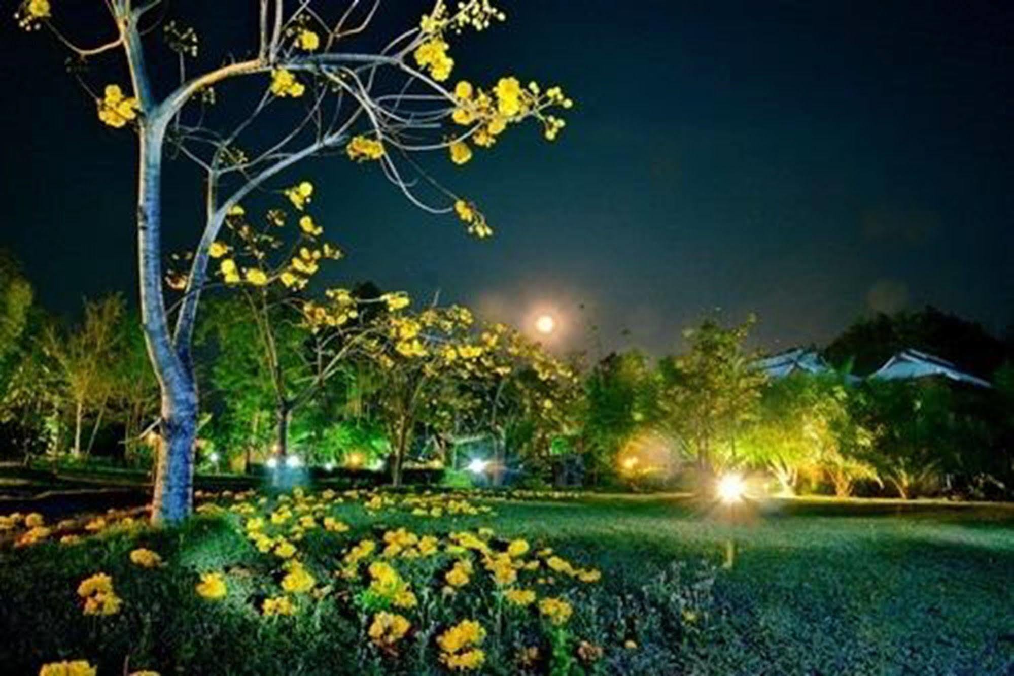 Phuphiangkhiangfah Resort Nan Buitenkant foto